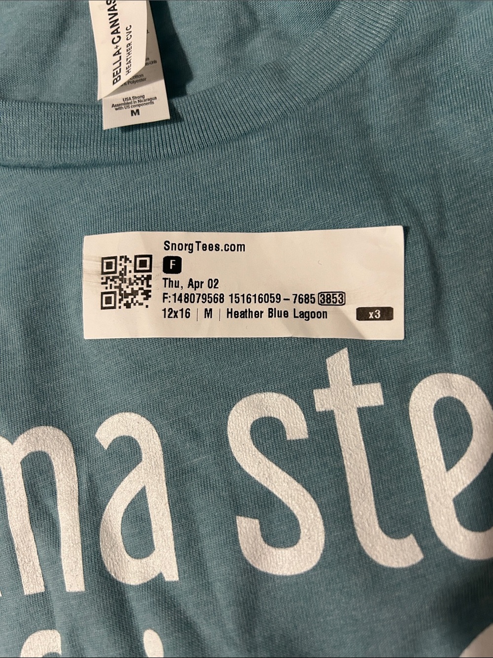 Graphic 'imma steal ur fries' Seagull Tee - Teal - Picture 3 of 3